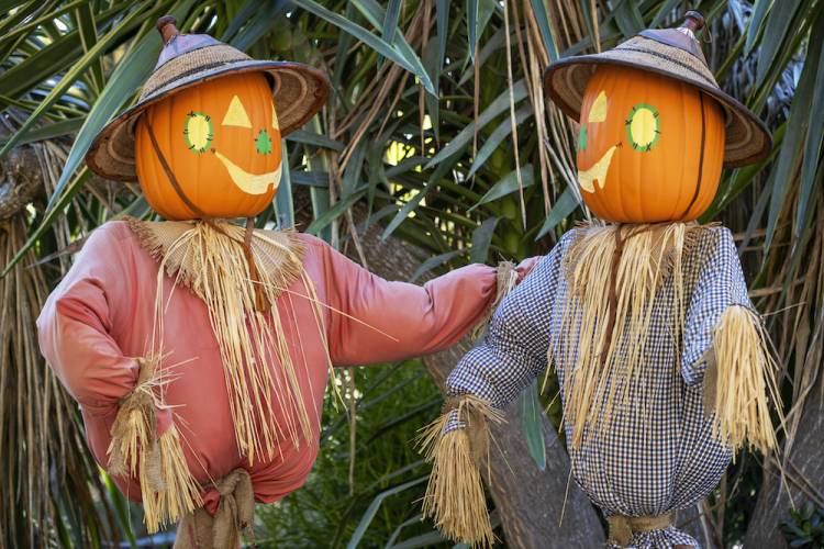 scarecrow fall tour in key west